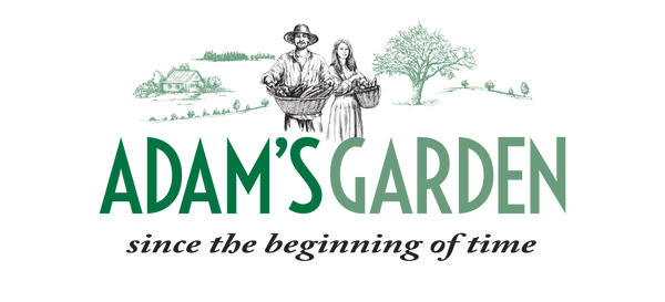 Adams Garden
